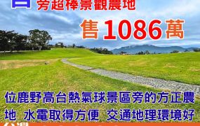 縱農228_台東鹿野熱氣球旁超棒景觀農地