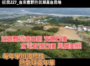 縱農227_台東鹿野熱氣球高台農地