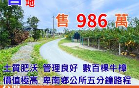 市農377_台東豐田牛樟農地