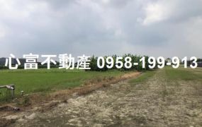 大寮上寮路全新廠房(此區多間可選)