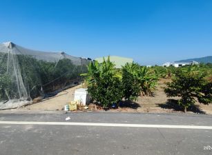 嘉華產業園區內大農地,可申請廠房,,有喜歡出價來談