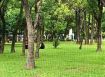 四面臨路 中壢 方正農地出租 水路佳  一坪15元