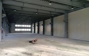 全新八德挑高10米廠房