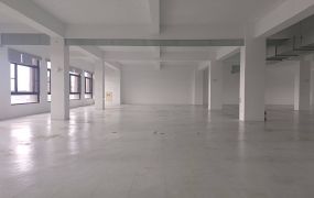 中壢交流道可廠登廠房5A