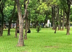 四面臨路 中壢 方正農地出租 水路佳  一坪15元