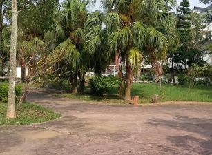 療癒 放鬆 養生館  健康 照護 悠遊放