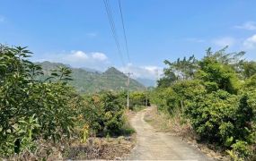 楠西都計內農地(多塊可選)