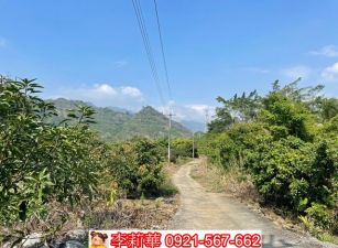 楠西都計內農地(多塊可選)