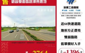 【大勝哥桃園買房】🔥觀音雙面臨路漂亮農地