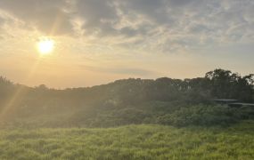 專約-【旗山超值大面寬 20米路上 開價低於成交行情】