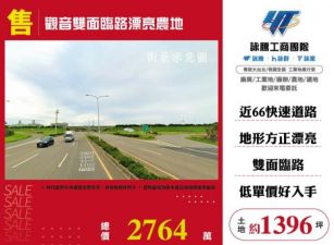 【大勝哥桃園買房】🔥觀音雙面臨路漂亮農地