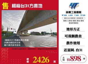 【大勝哥桃園買房】🔥 楊梅台31方正農地