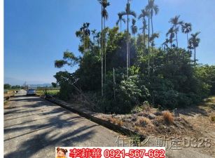 東山東河段臨路俗農地