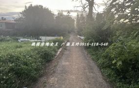 中壢大享街農地 桃園房地女王