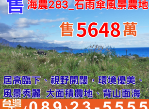海農283_石雨傘風景農地