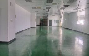 平鎮66無塵室科技廠房