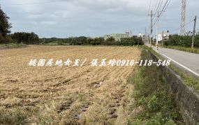 新屋永安國小 農+建地 桃園房地女王