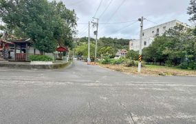 桃園市｜龍潭｜三坑國小旁三面臨路建地