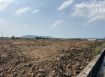 雙面路美田