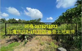 堯-仁武區近產業園區3000坪農地