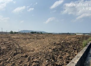 雙面路美田