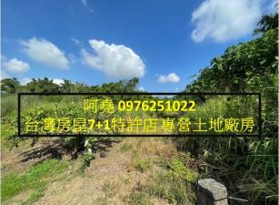 堯-仁武區近產業園區3000坪農地
