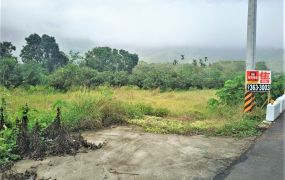 專約|六龜新發國小4.9分臨路農地|有電