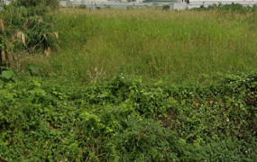 仁武近鳳仁路10米路都內農地