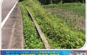 66快速路旁農地