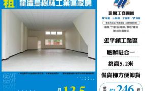 【大勝哥桃園買房】 龍潭烏樹林工業區廠房