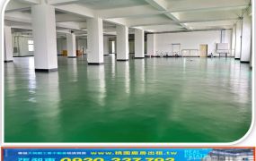 蘆竹新穎方正RC分租廠房