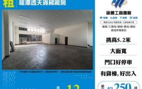 【大勝哥桃園買房】龍潭透天貨梯廠房