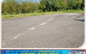 大溪新光工業地593