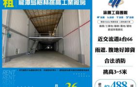 【大勝哥桃園買房】 龍潭烏樹林挑高工業廠房