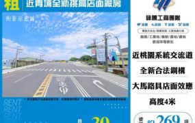 【大勝哥桃園買房】近青埔全新挑高店面廠房