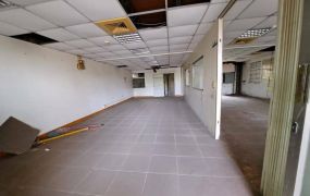 阿蓮合法丁建工業廠房~臨18米路,近岡山