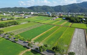 永慶許書豪★落羽松秘境34米大面寬美農地