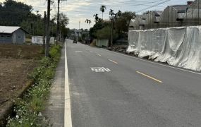 ❤️正龍南路29米寬農地