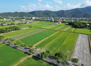 永慶許書豪★落羽松秘境34米大面寬美農地