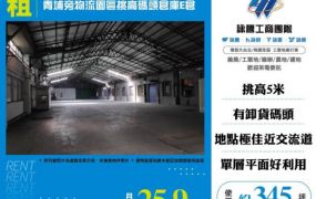 【大勝哥桃園買房】 青埔高鐵旁腹地碼頭鋼構倉庫E倉