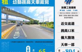 【大勝哥桃園買房】幼獅挑高天車廠房