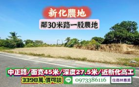 新化區一般農業區臨30米外環大道與中正路口農地/售3398萬/林惠美0973386116