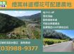 ★住商-張霞★燈篙林道櫻花可配建農地