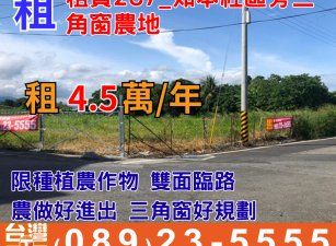 租賃287_知本社區旁三角窗農地