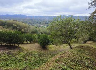 關西新城視野美地