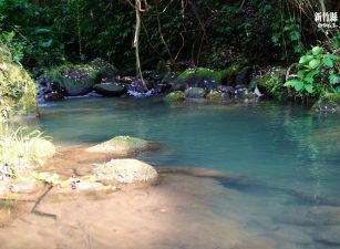 新竹縣北埔水岸野溪露營地