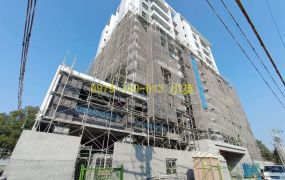 善化連建苒苒2房平車(預售屋)