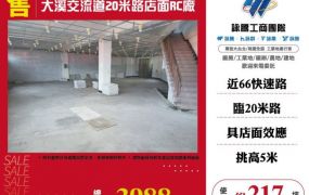大溪交流道20米路店面RC廠房