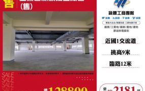 工業區新穎獨立廠區(售)