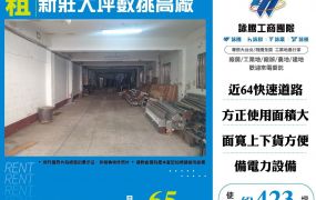 新莊大坪數挑高廠